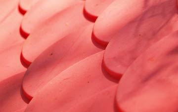 Burley Beacon plastic roof costs